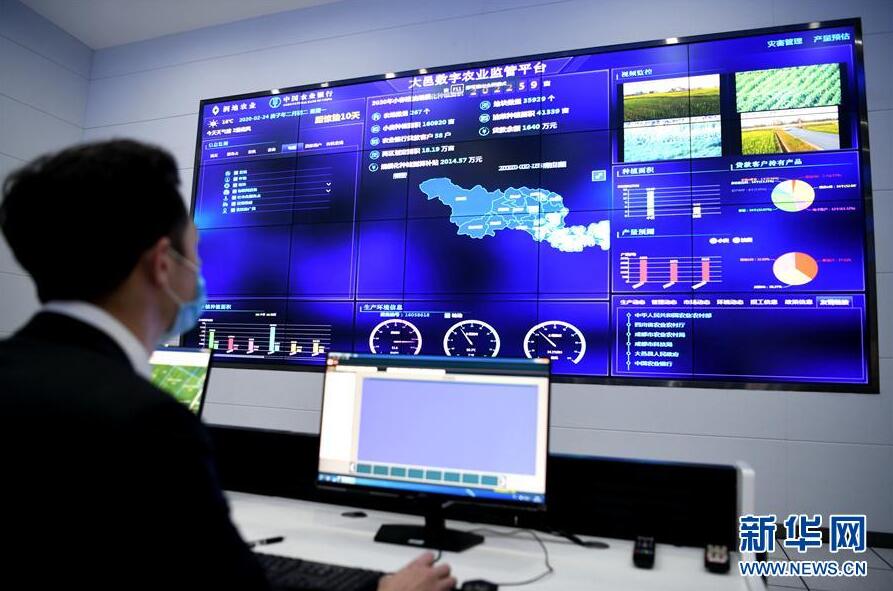 オンラインで生産、販売、生活…デジタル技術(shù)が農(nóng)村経済の新ポテンシャルを発掘