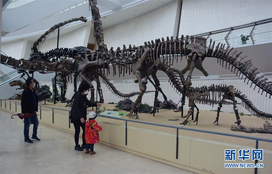 文化の趣漂う春が來た！中國各地の書店や博物館が続々と営業(yè)再開　