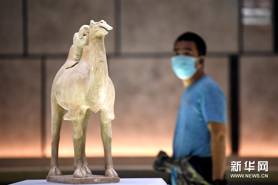 文化の趣漂う春が來(lái)た！中國(guó)各地の書店や博物館が続々と営業(yè)再開(kāi)　