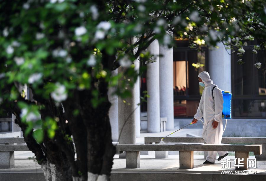 文化の趣漂う春が來(lái)た！中國(guó)各地の書(shū)店や博物館が続々と営業(yè)再開(kāi)　