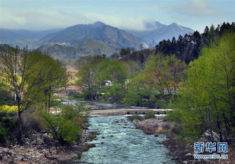 霧雲の中に浮かび上がる河南黃柏山