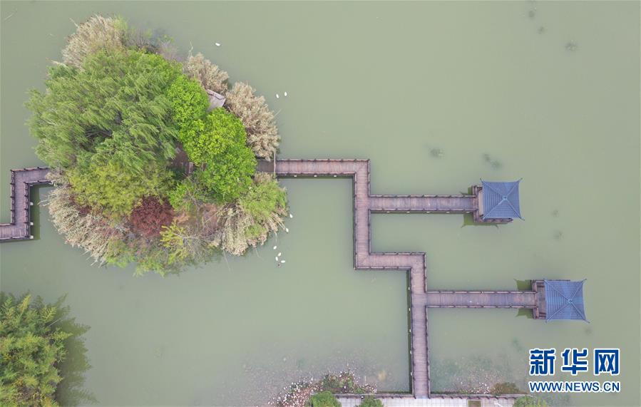 花木博覧園の見事な春景色　河南省鄢陵