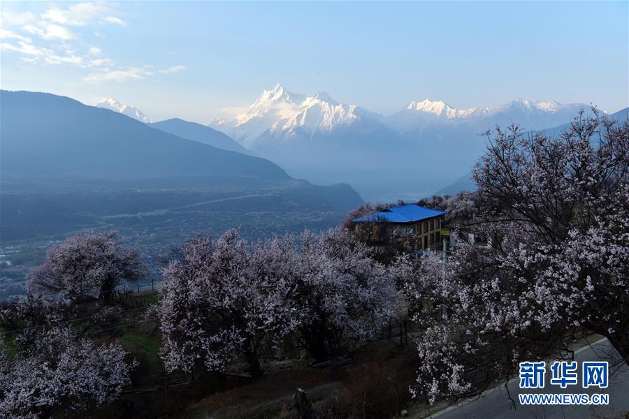 ヤルツァンポ大峽谷に春到來！　チベット