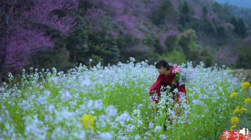 中國(guó)有名ビデオブロガーのリー?ズーチーが作る春の弁當(dāng)が話(huà)題に