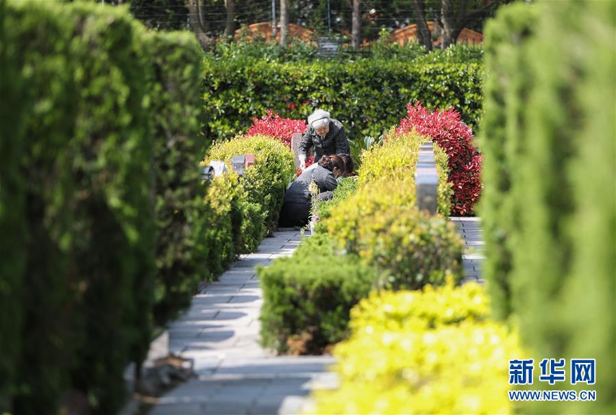 オンライン墓參りや墓參り代行が新しい選択肢に 上海