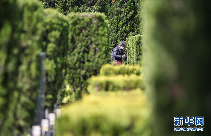 オンライン墓參りや墓參り代行が新しい選択肢に 上海