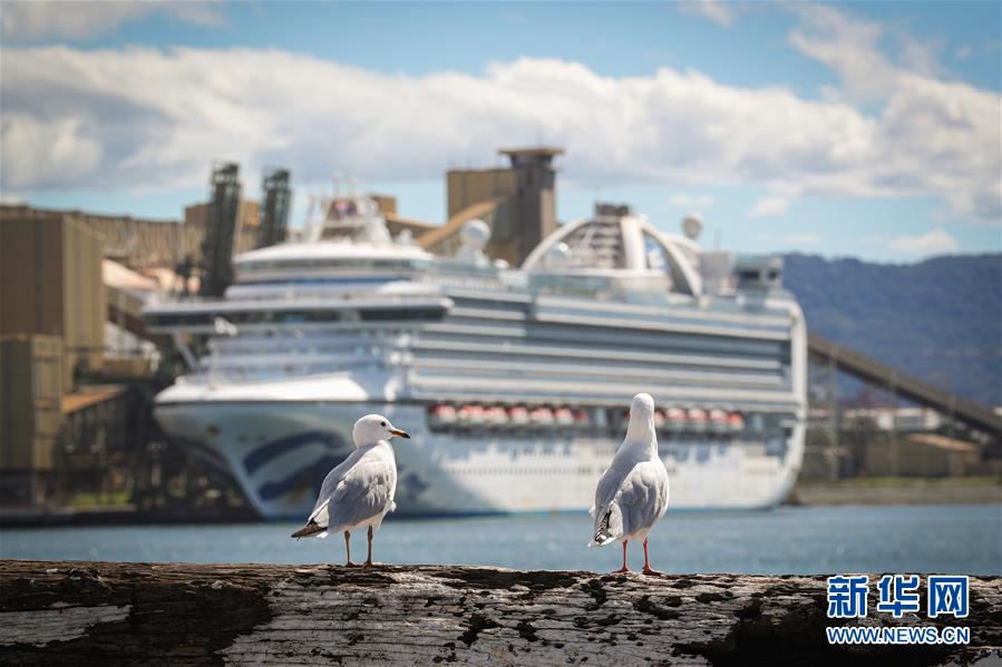 豪警察、クルーズ船「ルビー?プリンセス」號を刑事事件として捜査