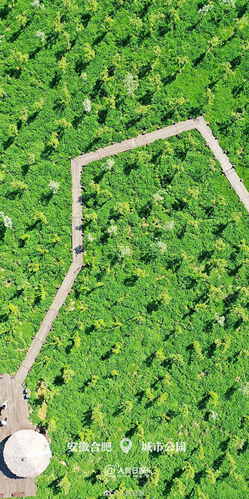 全部デスクトップの壁紙に使いたい！中國(guó)各地の清明節(jié)の春景色