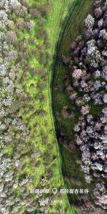 全部デスクトップの壁紙に使いたい！中國各地の清明節(jié)の春景色