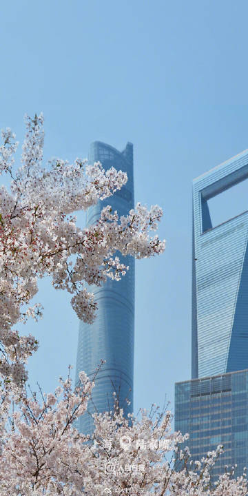 全部デスクトップの壁紙に使いたい！中國各地の清明節(jié)の春景色