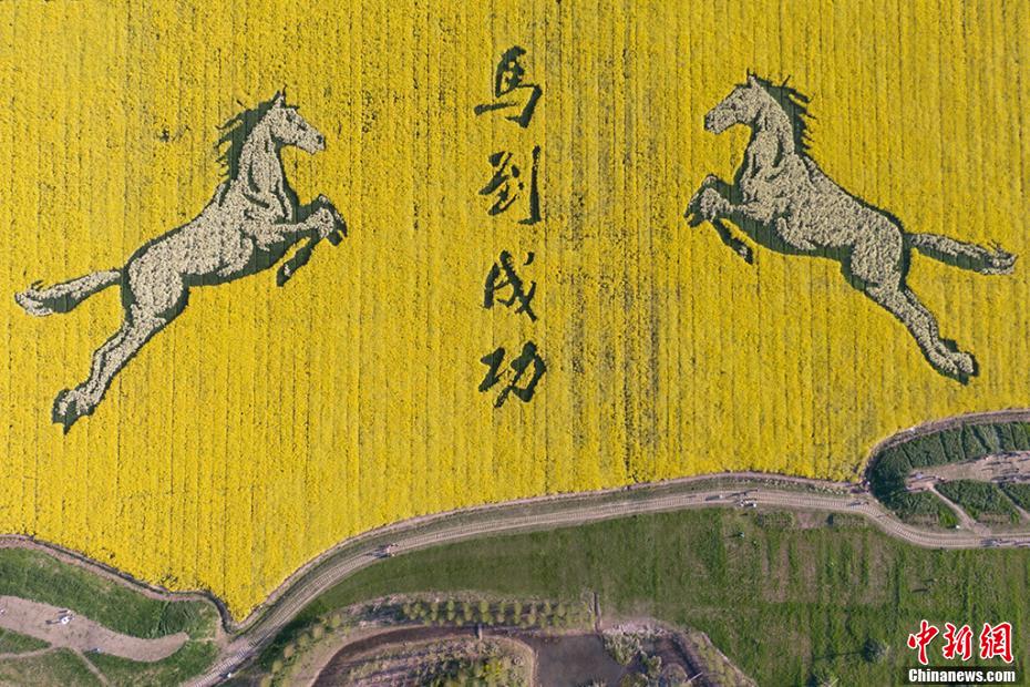 上空から見るとひときわ目を引く、2頭の「飛び跳ねる」駿馬と「馬到成功（成功を祈る言葉）」という文字。