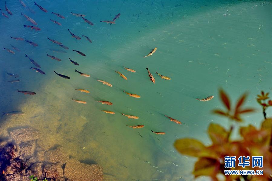 武夷山にまるで風景畫のような春到來　福建省