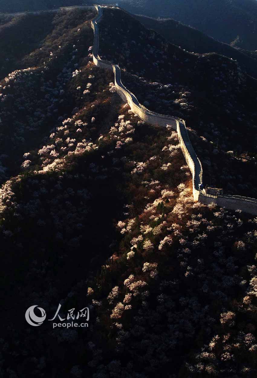 長城の內(nèi)も外も花開く春本番に　北京