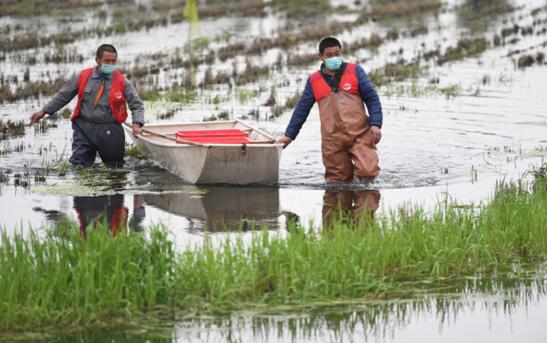 湖北省のザリガニが屆いた！　今年はオンライン売上が4割