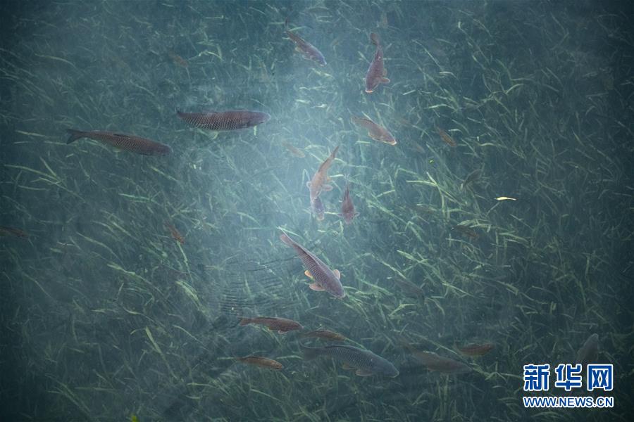 山紫水明の地に春の訪れ　貴州省茘波