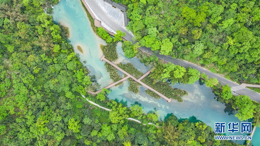 山紫水明の地に春の訪れ　貴州省茘波