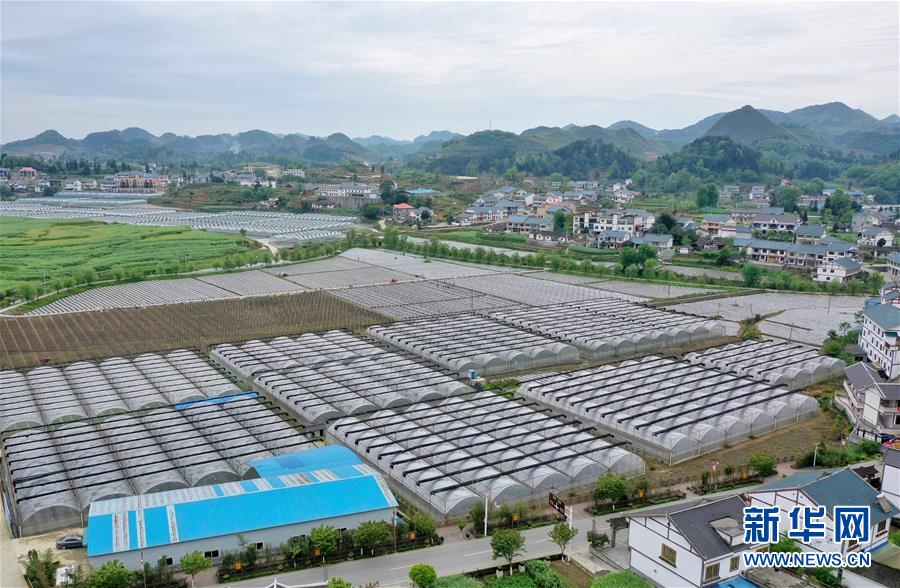 新しく生まれ変わった貴州北部の農(nóng)村