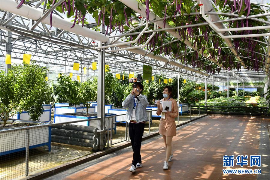 壽光菜博會をオンライン開催　山東省