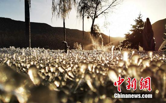 氷結(jié)した木の枝や草の葉に透明な琥珀の輝き　甘粛省ユグル族自治県