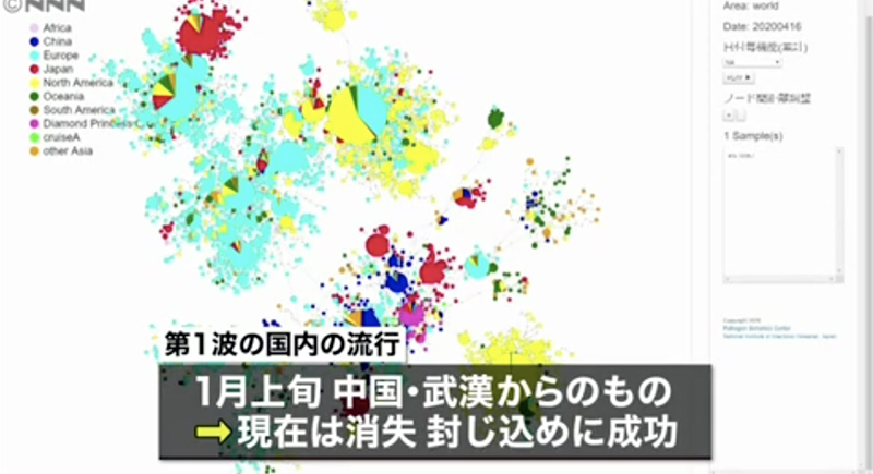 日本の國立感染癥研究所は、現(xiàn)在日本國內(nèi)で中國武漢の新型コロナウイルスは消失したと分析（グラフ出所／JNN）。