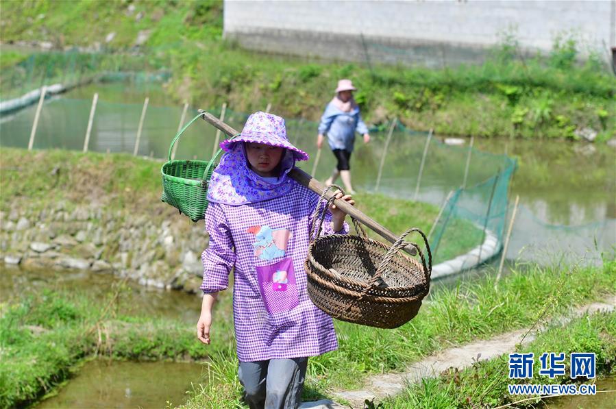 苗山の貧困脫卻に向けた標(biāo)準(zhǔn)語學(xué)習(xí)　休暇中の女子大生が行う特別授業(yè)
