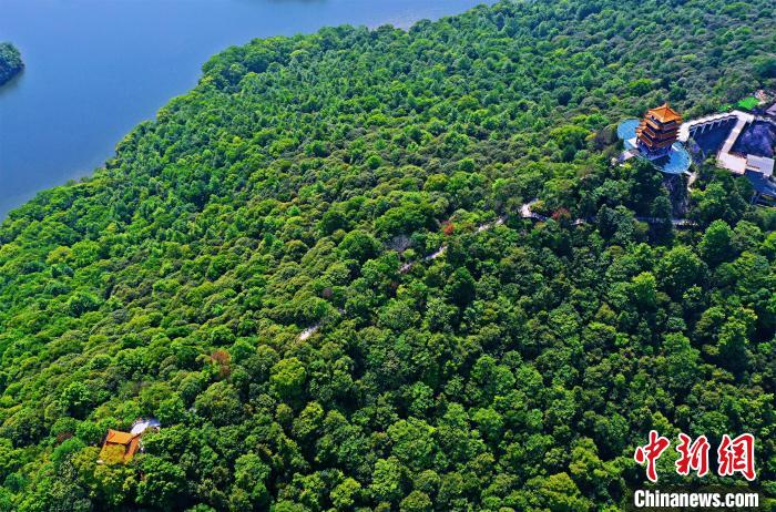 上空から眺めた江西省新余仙女湖の春景色