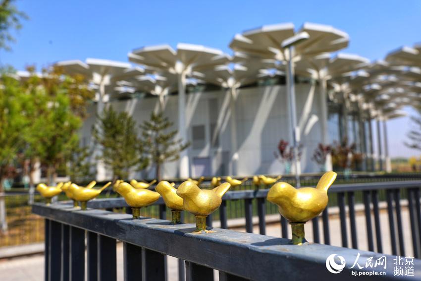 「永遠(yuǎn)に閉幕することのない」世園會(huì)體験できる北京世園公園