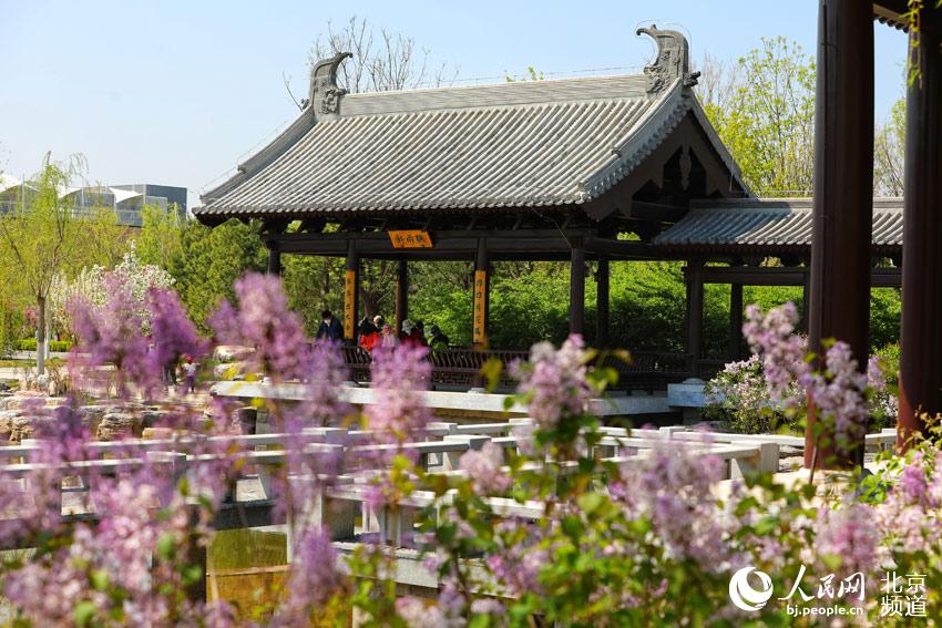 「永遠(yuǎn)に閉幕することのない」世園會(huì)體験できる北京世園公園