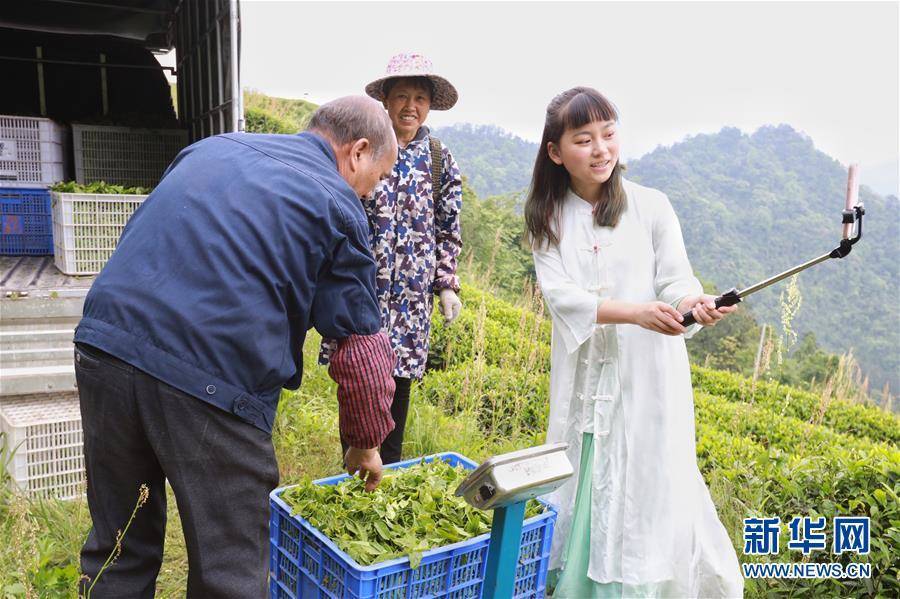 ライブコマースが貴州産茶の販売を後押し