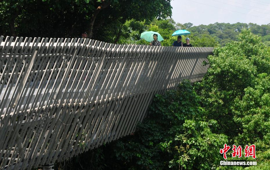 メーデー連休中、「森の上」をそぞろ歩く福州市民　福建省