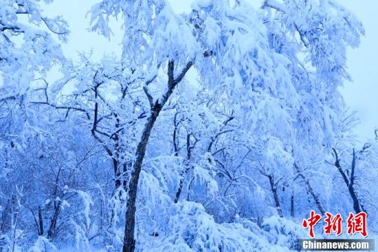 國境の町?黒竜江省饒河で50年ぶりとなる5月のみぞれ雪を観測