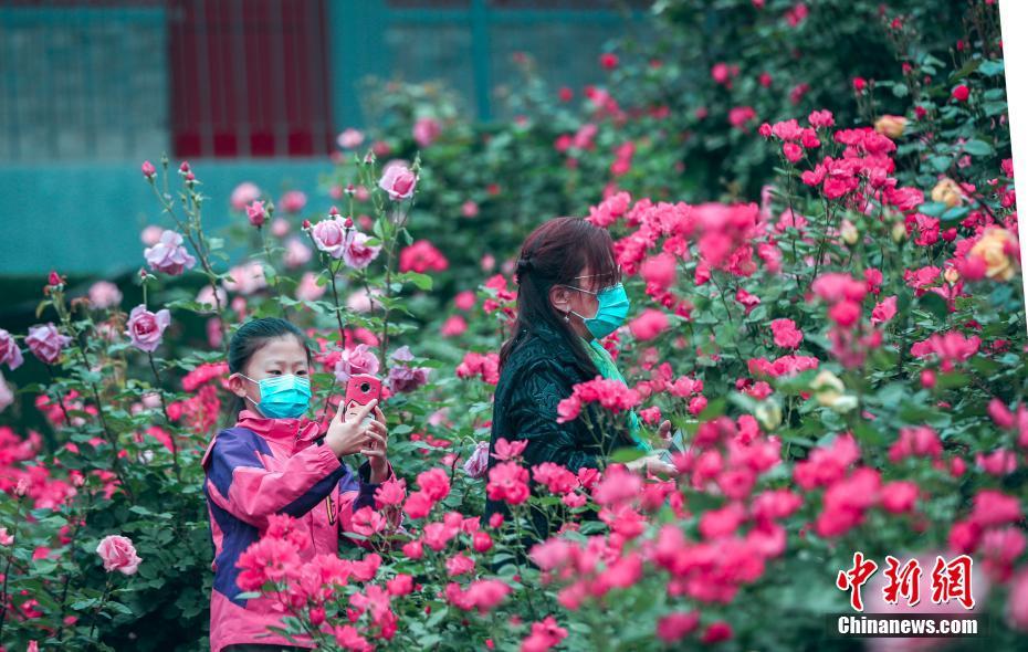 北京大観園が一般公開(kāi)再開(kāi)へ