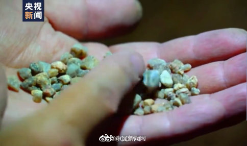 陝西省の漢中ドリーネ群、大量の古生物の化石が初めて発見