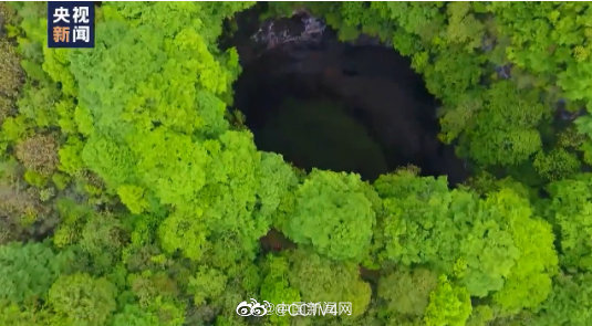 陝西省の漢中ドリーネ群、大量の古生物の化石が初めて発見