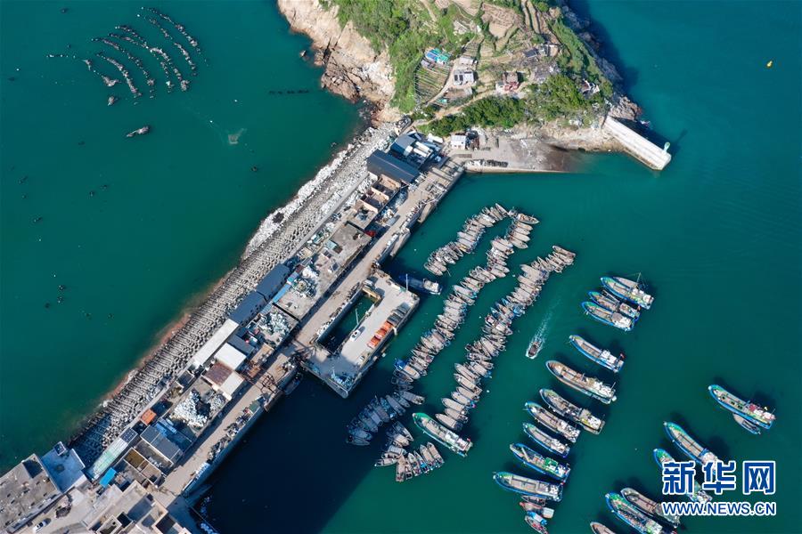 伏季休漁期に入り、港に停泊する福建省の漁船