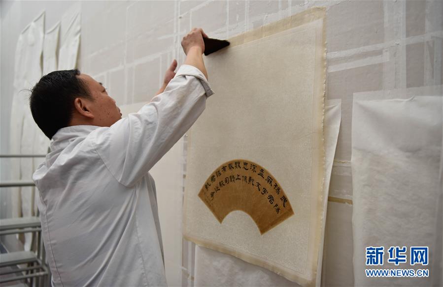 「文化財ドクター」の仕事ぶりを間近に見てみよう！