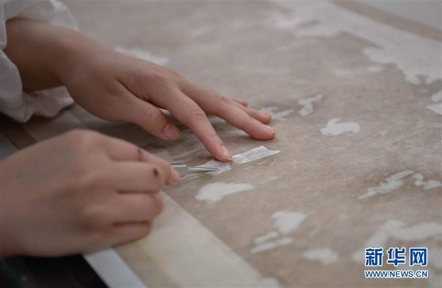 「文化財(cái)ドクター」の仕事ぶりを間近に見(jiàn)てみよう！