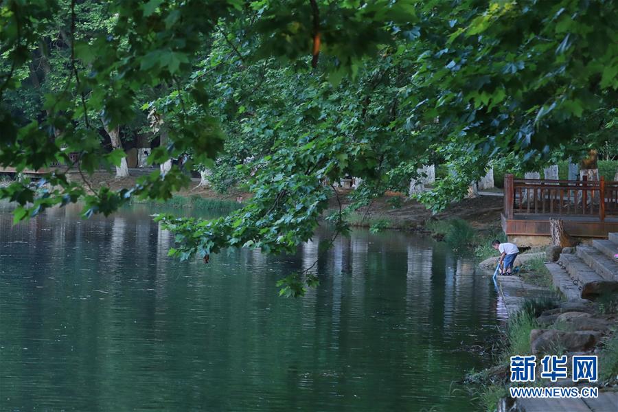 まるで絵のような初夏の濕地　貴州省貴陽市