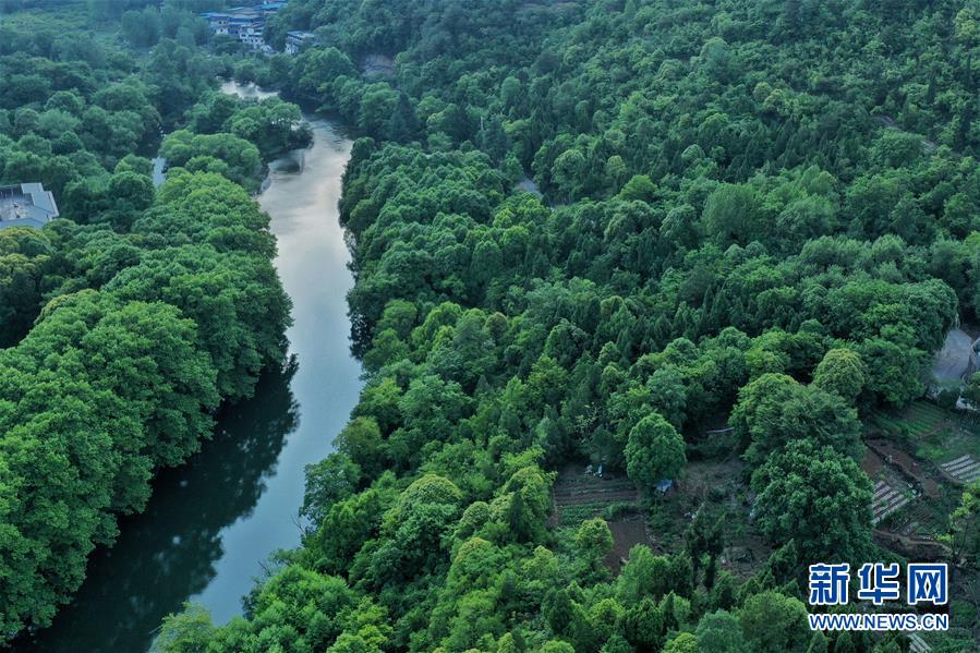 まるで絵のような初夏の濕地　貴州省貴陽(yáng)市