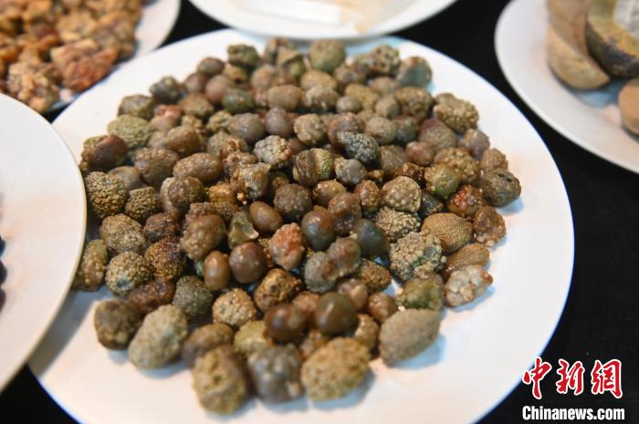 本物ソックリ！メノウで作られた「満漢全席」　遼寧省阜新