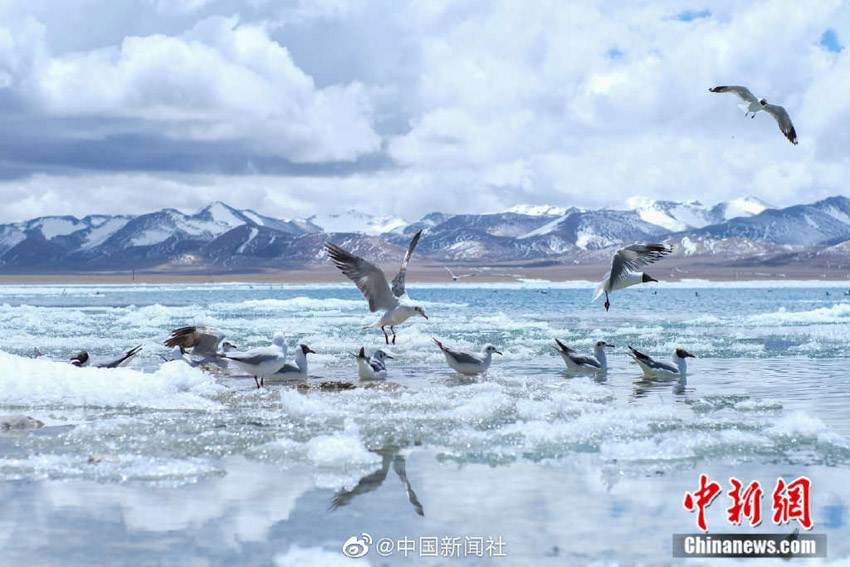 氷が解け始め、清らかな美しさ広がる西蔵ナムツォ湖