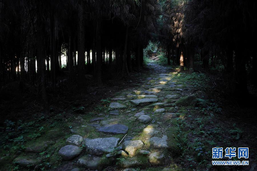 茶葉を運(yùn)んだ交易路「茶葉古道」の修復(fù)進(jìn)む　四川省