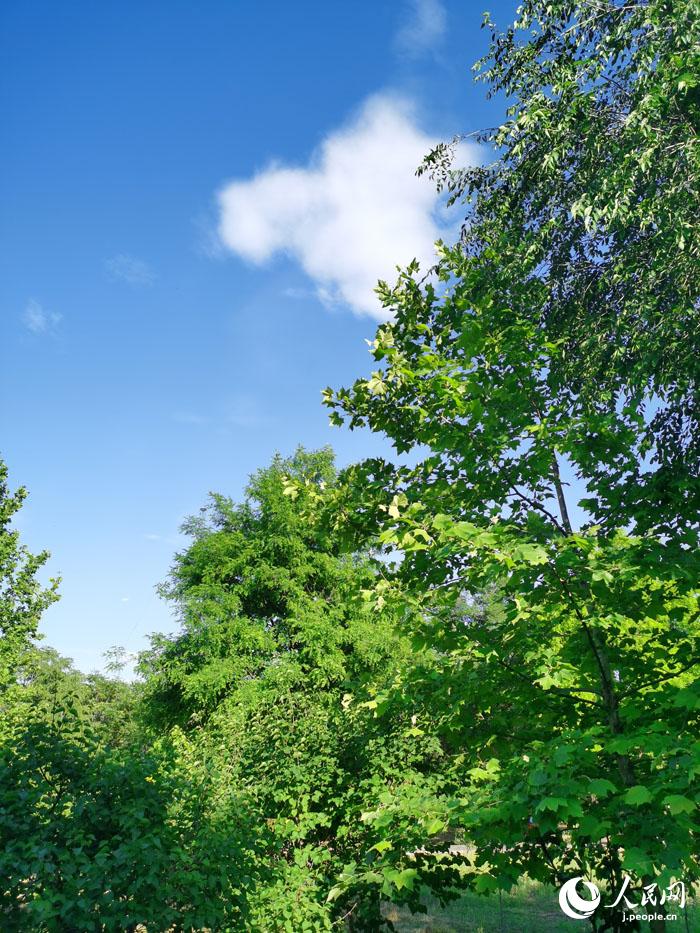 美しすぎる！北京の快晴がモーメンツで話題に