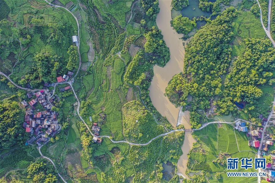 緑鮮やかな初夏の田園風(fēng)景　広西?環(huán)江カルスト