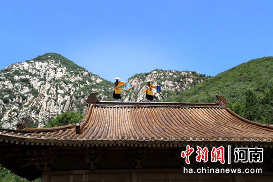 消毒作業(yè)も修行の一環(huán)なり！少林寺の武僧たち　河南省