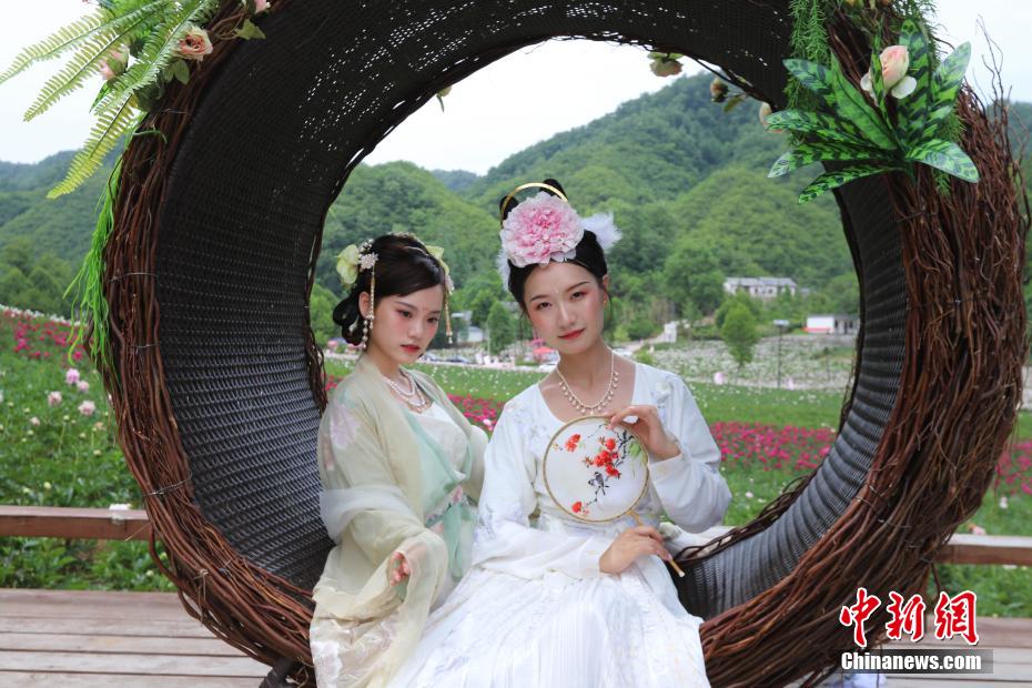 立てば芍薬、座れば牡丹？漢服姿の女性たちが河南欒川の牡丹畑で寫真撮影