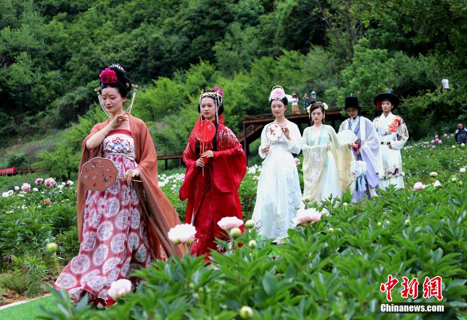 立てば芍薬、座れば牡丹？漢服姿の女性たちが河南欒川の牡丹畑で寫真撮影