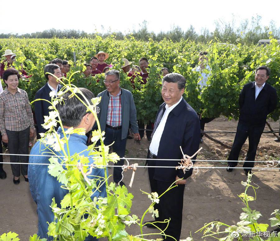 習(xí)近平総書記が寧夏回族自治區(qū)銀川市を視察