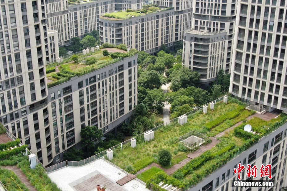 南京の病院屋上に「空中庭園」建設(shè)　江蘇省