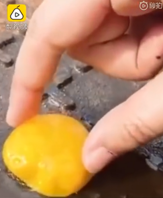 マンホールの蓋で目玉焼き？?jī)?nèi)モンゴルで猛暑、各地で40度以上に